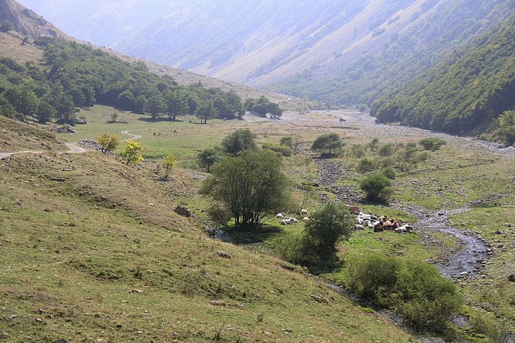 Pra del Rasur dai pressi del Gias del Rasur