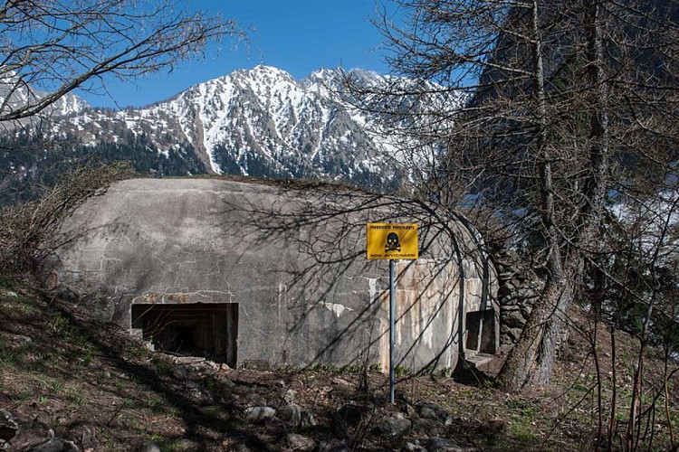 L'Opera 276 del Vallo Alpino