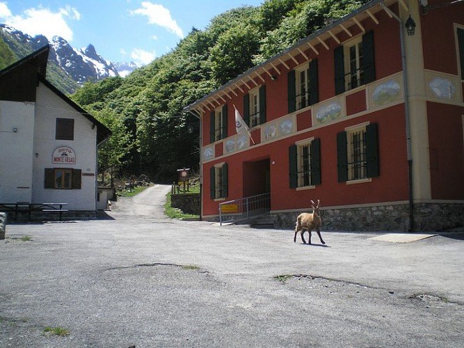 Le refuge San Giacomo, au départ du sentier menant au belvédère Piazzale dei Cannoni. Un jeune bouquetin aventureux apparaît