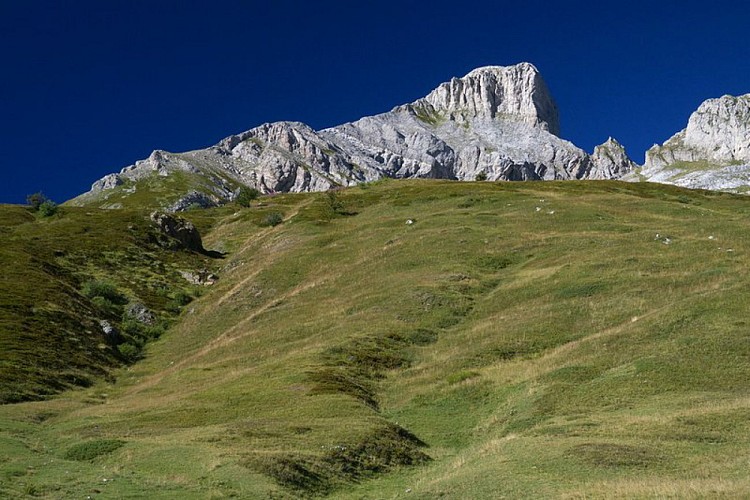 La Cina delle Saline