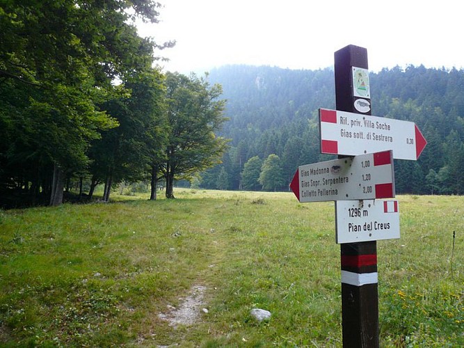 Il Pian del Creus