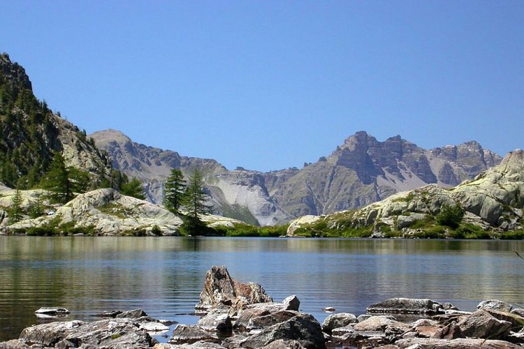 En plan rapproché, vue partielle d'un des lacs de Vens en été.