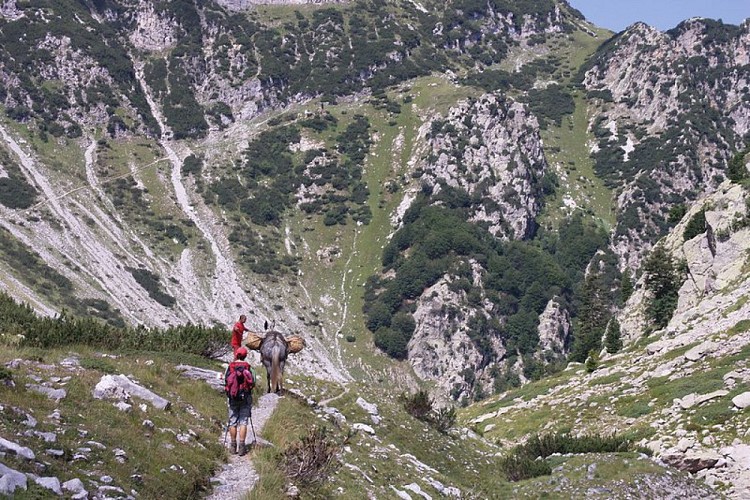 Il Vallone del Marguareis; sullo sfondo, l'evidente sentiero per il Passo del Duca