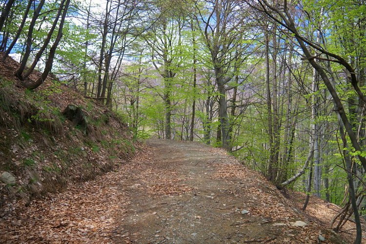 Un tratto di sterrata verso Cascina San Paolo