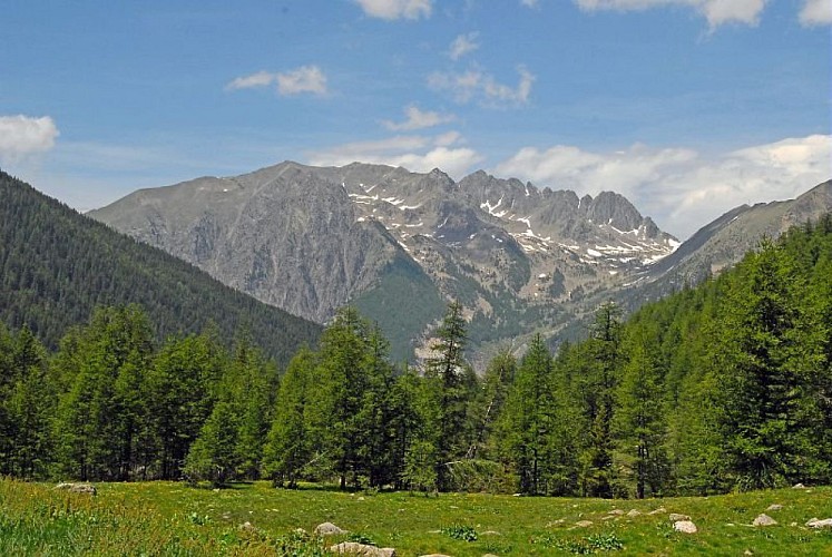 Le mont Saint-Sauveur à la fin du printemps, (2711 m), Au premier plan le vallon de Mollières et son mélézin