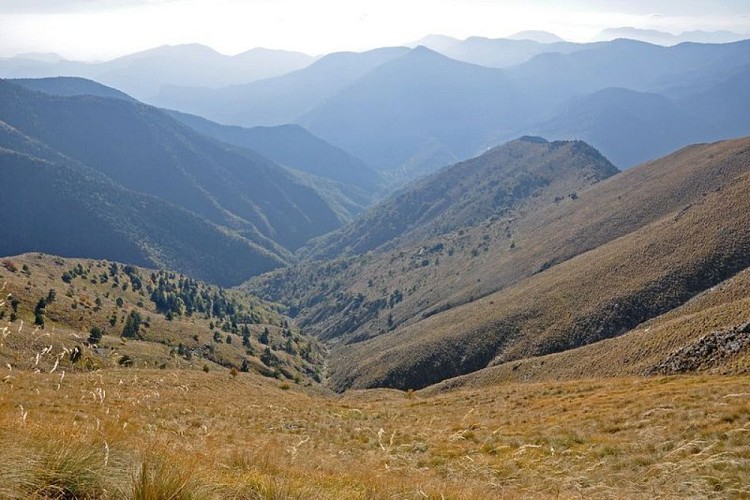 Le vallon de Capou à Moulinet