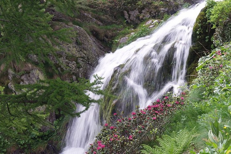 La bella cascata, contornata da rododendri, che si getta nella conca del Lago sottano
