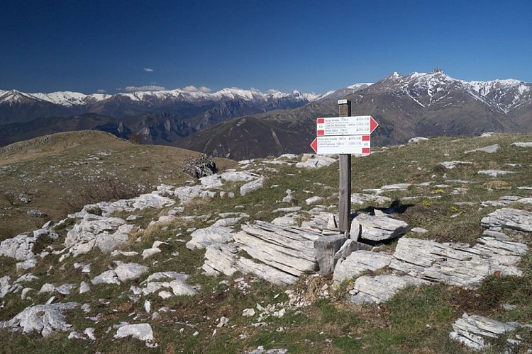 Panorama sulle Alpi Liguri dai pressi della vetta del Monte Armetta