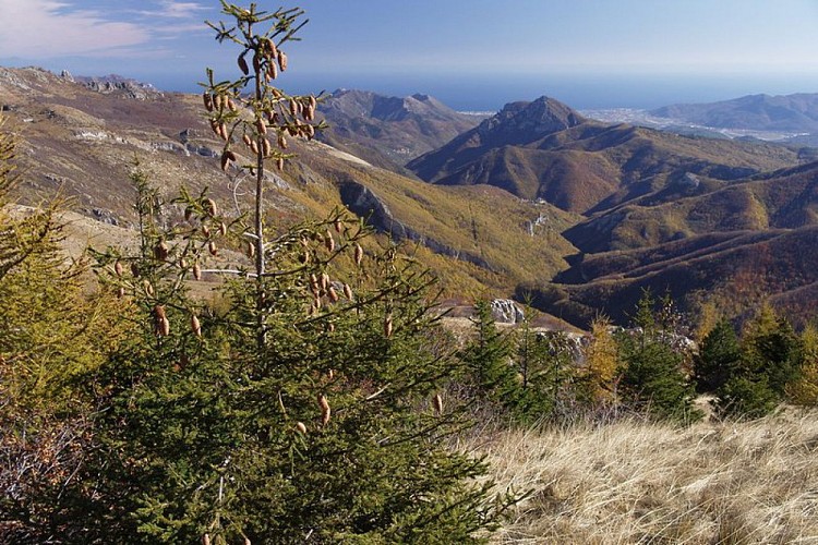 Albenga e il mare dai pressi della Colla Bassa