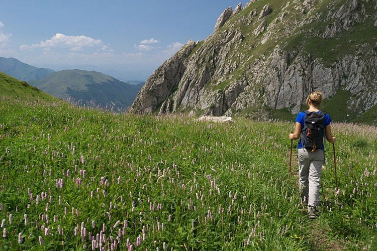 Uno dei pochi tratti pianeggianti del sentiero per il Colle della Boaria nelll'omonimo vallone
