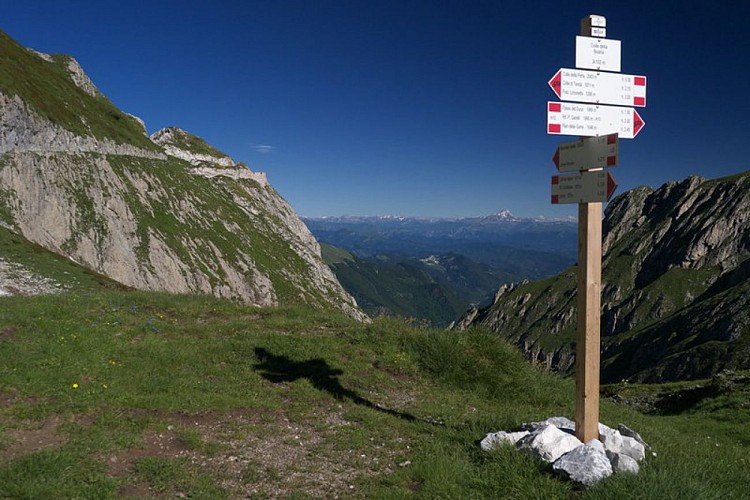 Palina segnavia al Colle della Boaria