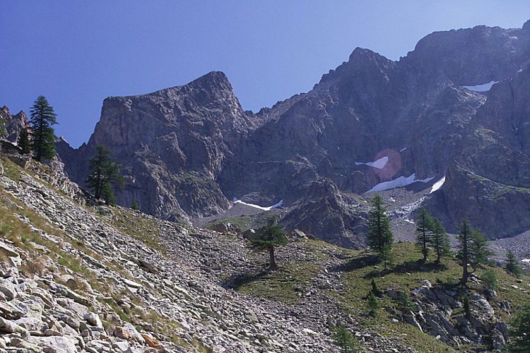 I pendii detritici tagliati dal sentieor per il Rifugio Bozano