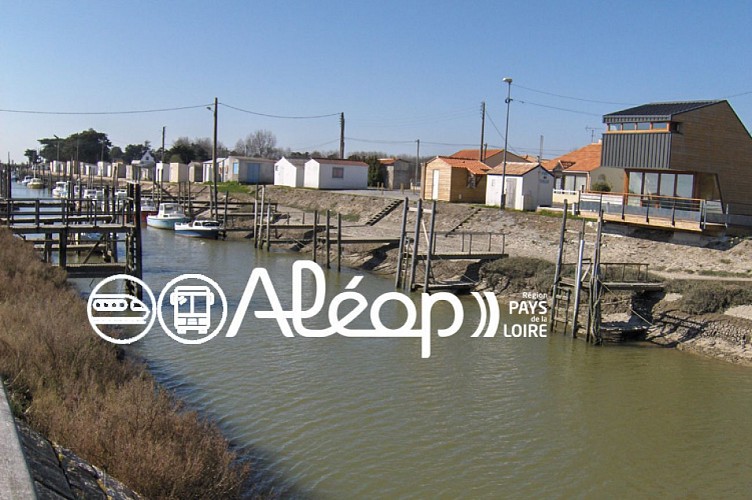 BOURGNEUF-EN-RETZ - LES MOUTIERS-EN-RETZ / Circuit de la baie, en 1 jour