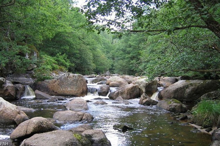 Les rochers de Négremont