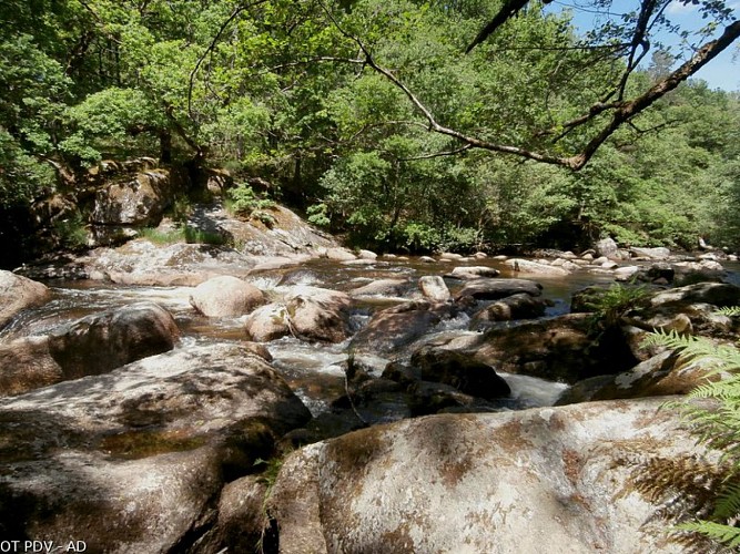 Rochers de Négremont à rempnat