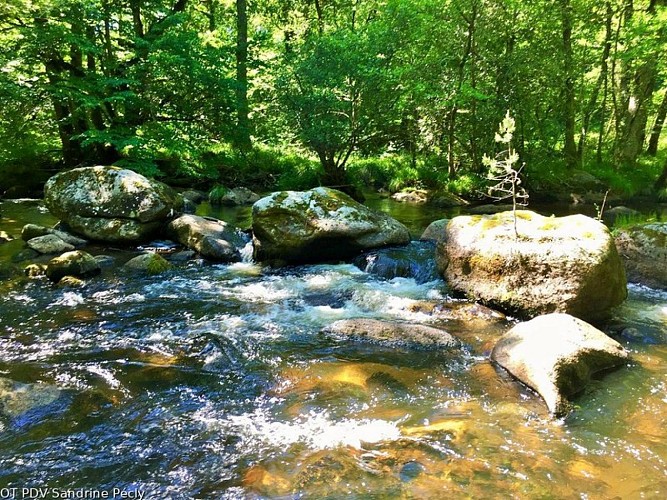 Rochers de Négremont à rempnat