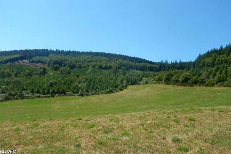 Vue du Puy de Sarran