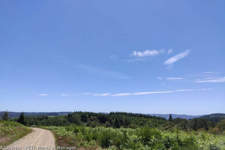 Autour du Bois de Crozat