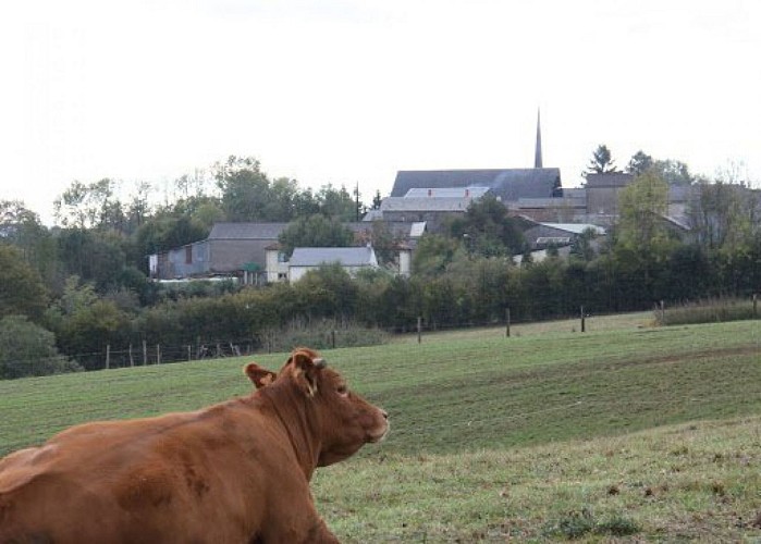 Campagne autour de Montfranc