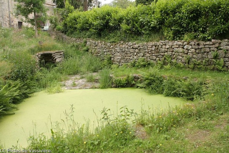 Découverte du Patrimoine de Saint-Amand-le-Petit