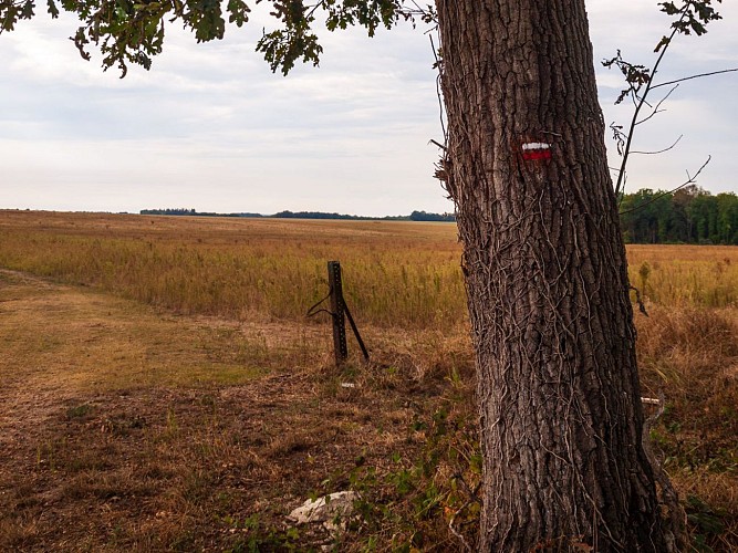 Plaine des 6 fermes. Milly-la-Forêt