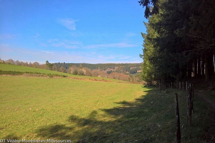 The Puy d'Orliac