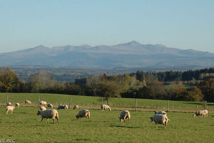 De Feyt à Monestier