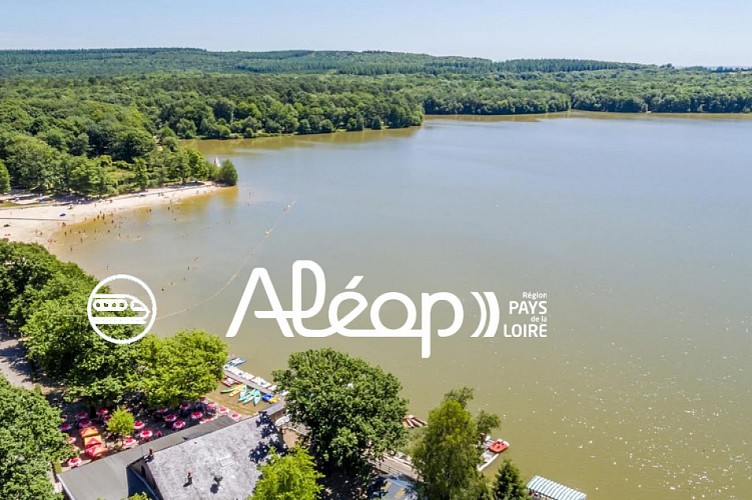SILLÉ-LE-GUILLAUME, Le tour du grand étang, en 1 jour