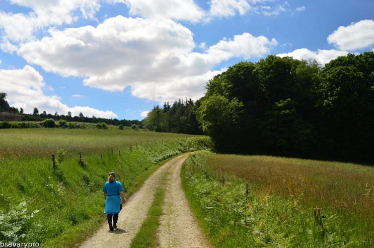 Randonneuse sur sentier