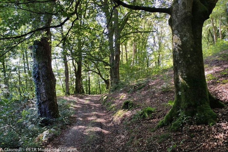 Circuit of the three churches