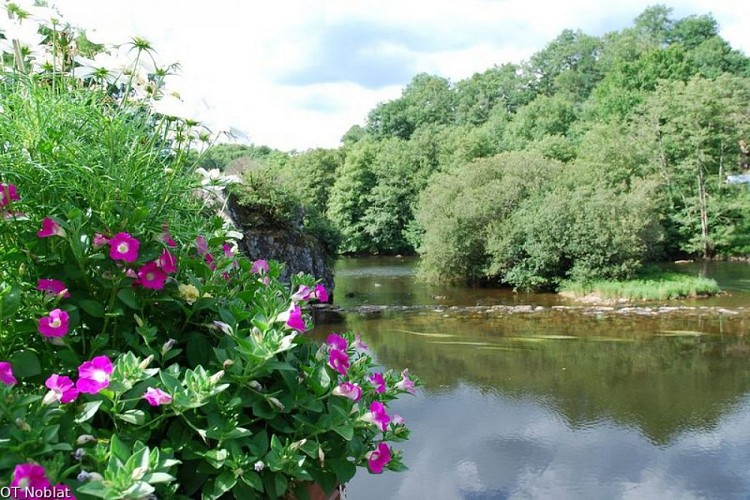 Circuit entre Vienne et Tard