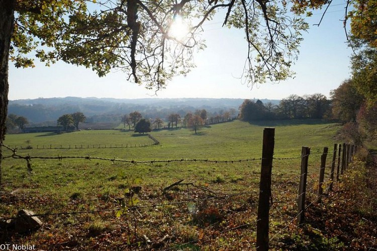 Circuit entre Vienne et Tard