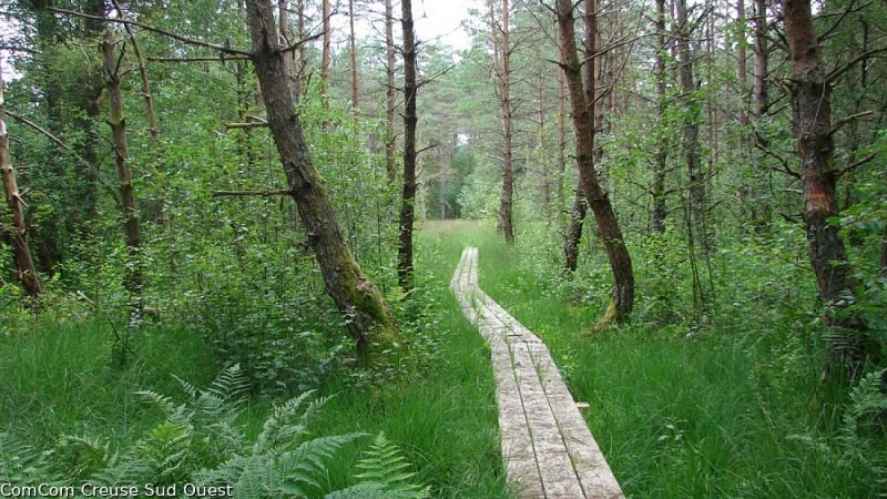 Sentier de Beauvais