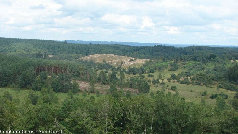 Vue sur la tourbière de la Mazure