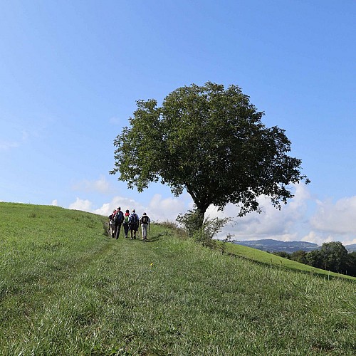 Dans la campage de Boussy