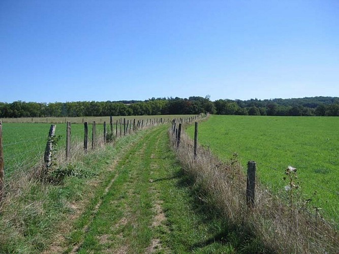 GRP® des Monts de Blond : étape 1 : Cieux - Mortemart