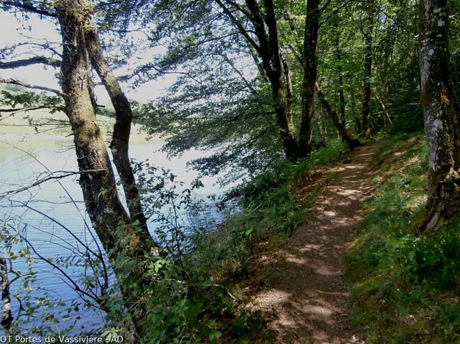 En chemin au bord de la Maulde