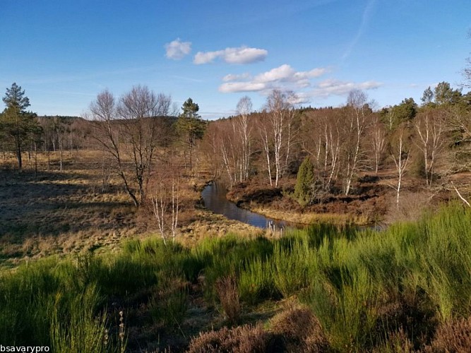 Landes et tourbières de la Mazure