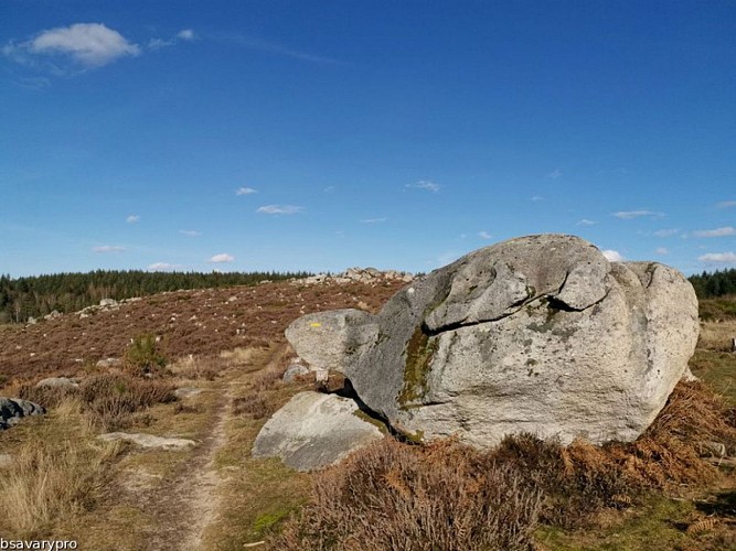 Landes et tourbières de la Mazure