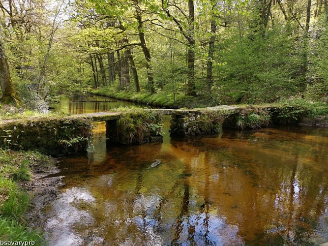 Pont planche Vallée de la Maulde
