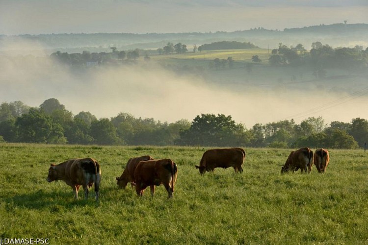 Following in the footsteps of monks and lords