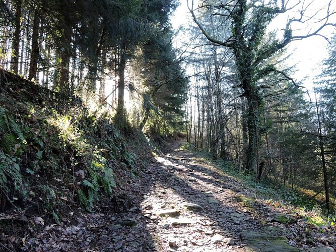 Les Hauts de Roussoulps