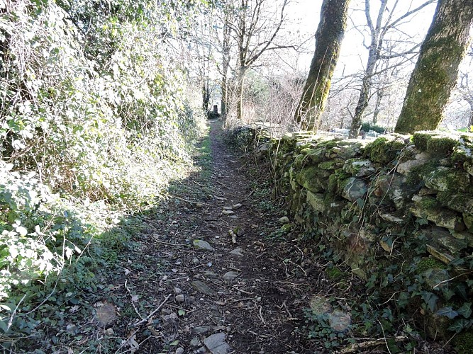 Randonnée les hauts de Roussoulps - Pont de Larn