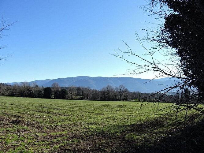 Les Hauts de Roussoulps