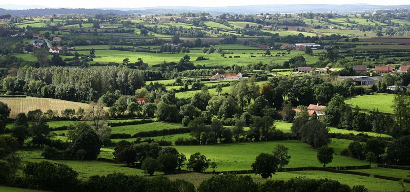 Le Sentier de la Houlette - DESVRES