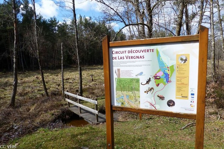 Circuit de découverte