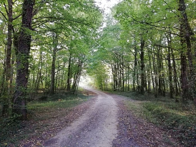 Prigonrieux - Claud de Bled (8)