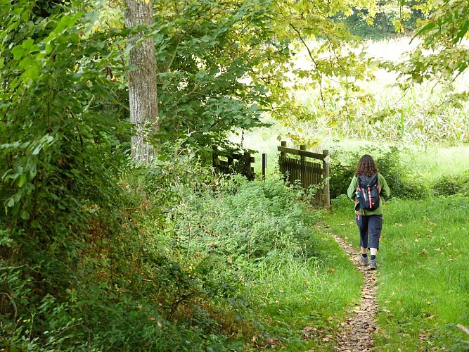 Sauvagnon randonnée pédestre dans le bois de Sauvagnon @CBM 2025