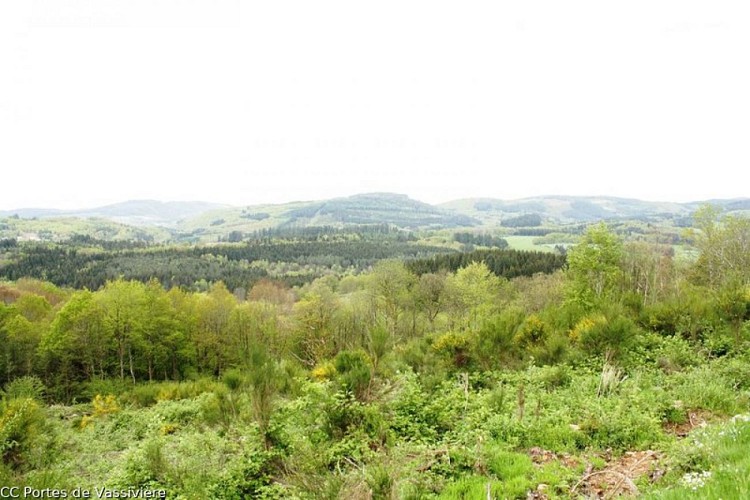 The Puy Pointu circuit