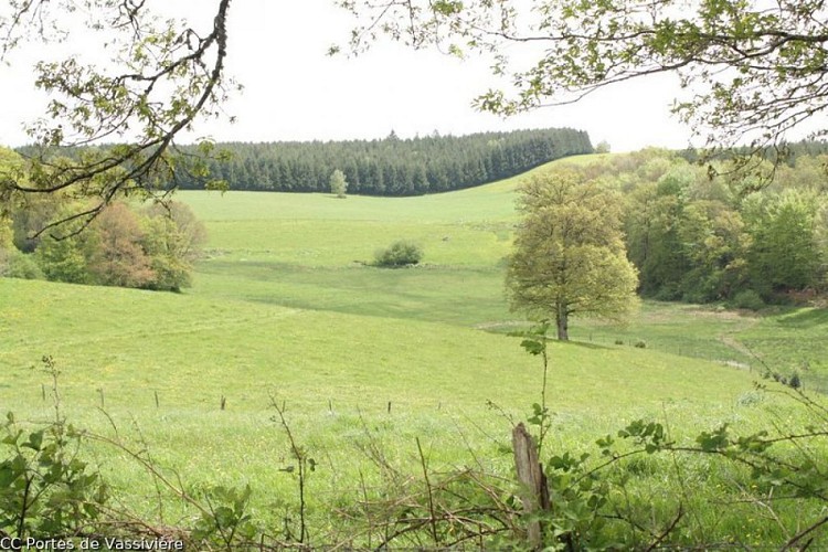 The Puy Pointu circuit